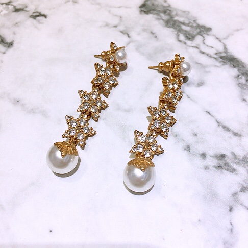 Dior Earring 04lyr324